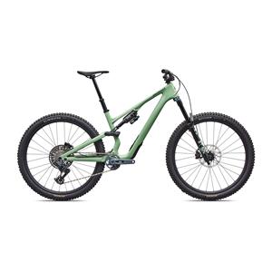 Specialized Stumpjumper 15 EVO Expert                                           